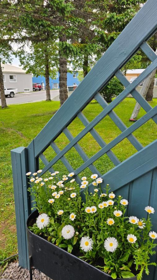 B&B Rooms Husavik 1 Εξωτερικό φωτογραφία